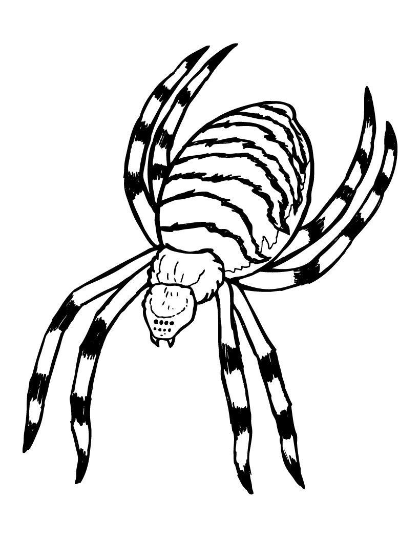 37 Spooky Halloween Spider Coloring Pages Printable 32