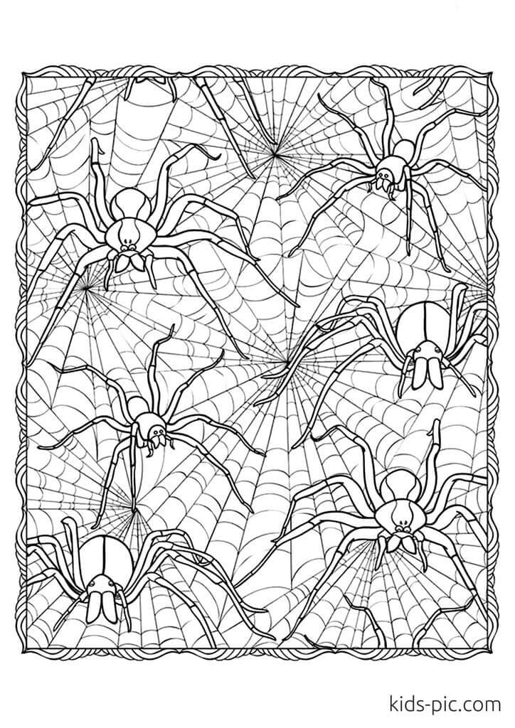 37 Spooky Halloween Spider Coloring Pages Printable 35