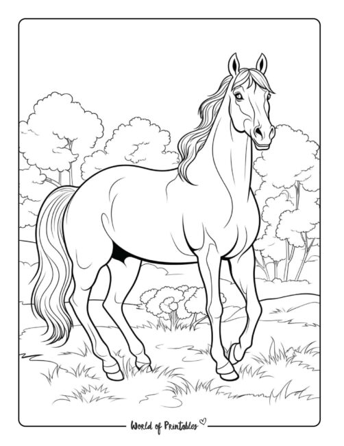 31+ Amazing Princess Horse Coloring Pages Printable