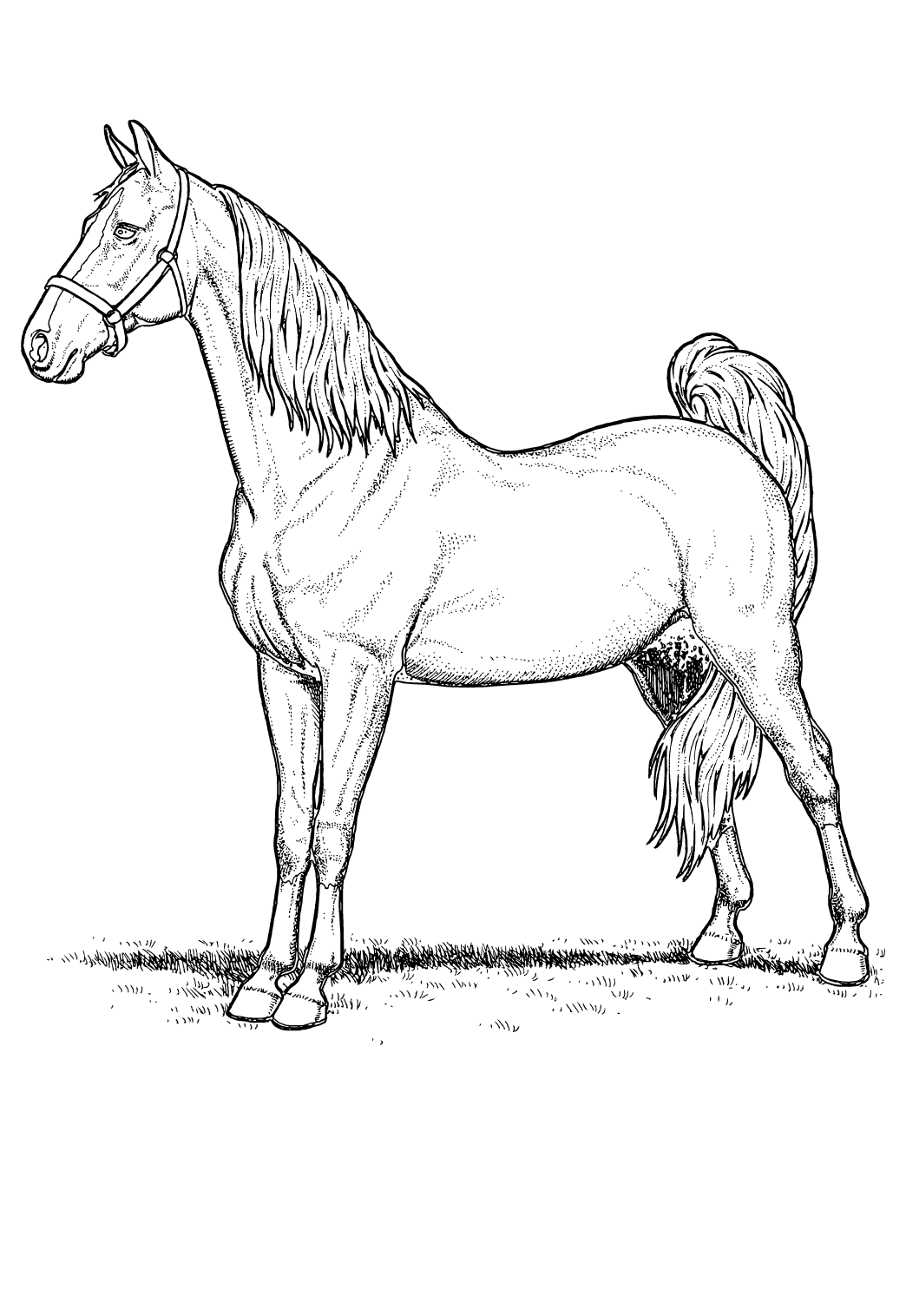 58+ Cheerful Princess Horse Coloring Pages Printable