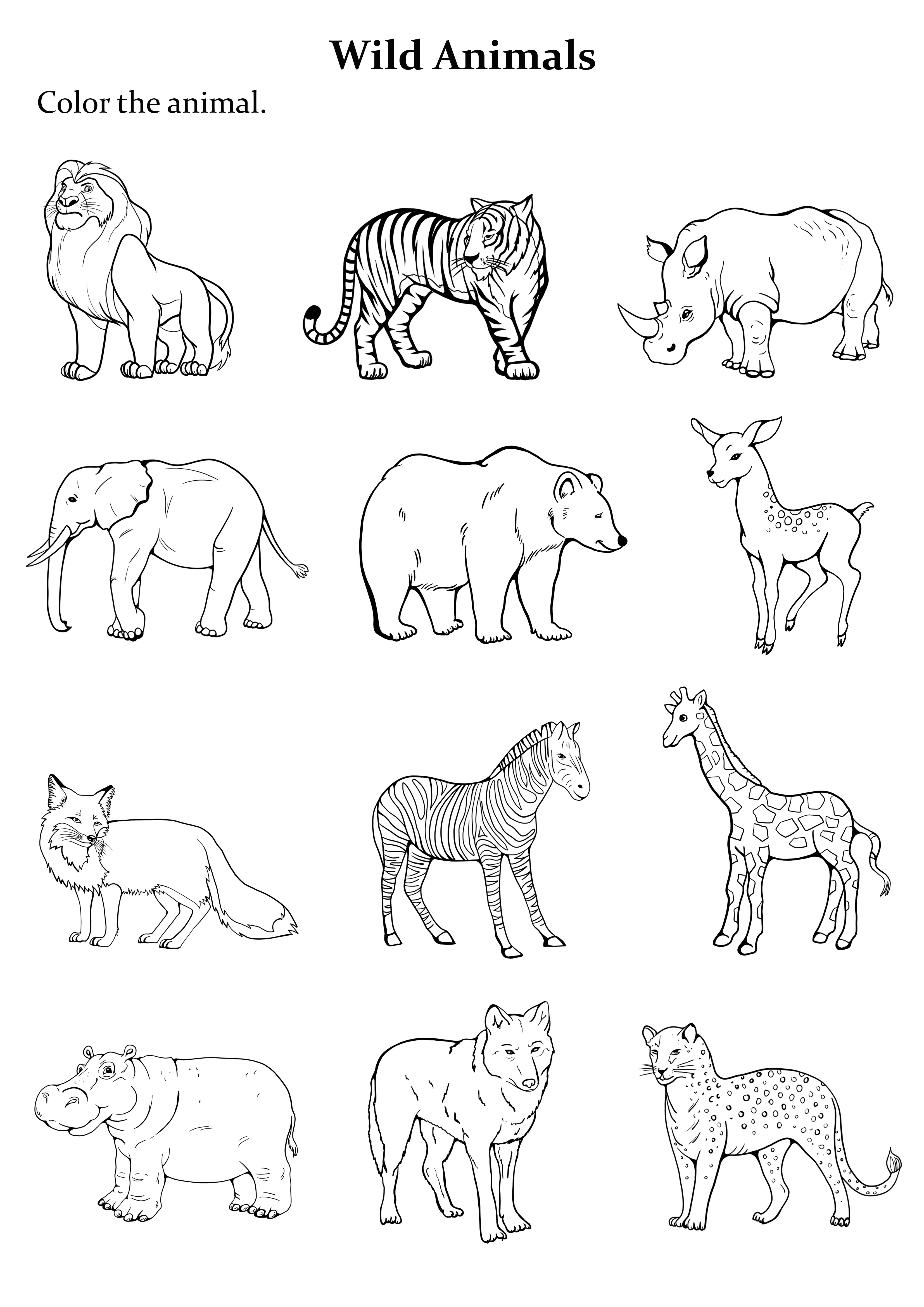 10 Animal Coloring Pages Kids 10