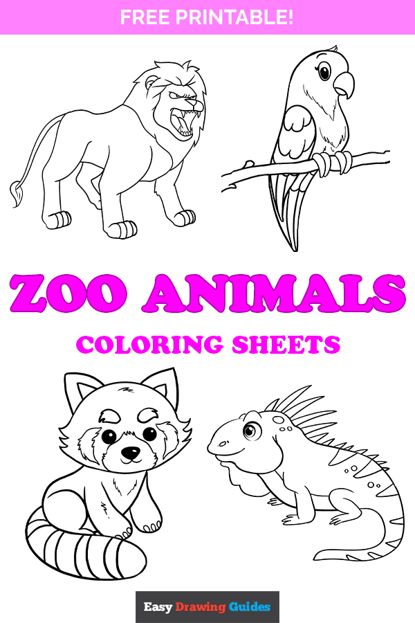 10 Animal Coloring Pages Kids 8