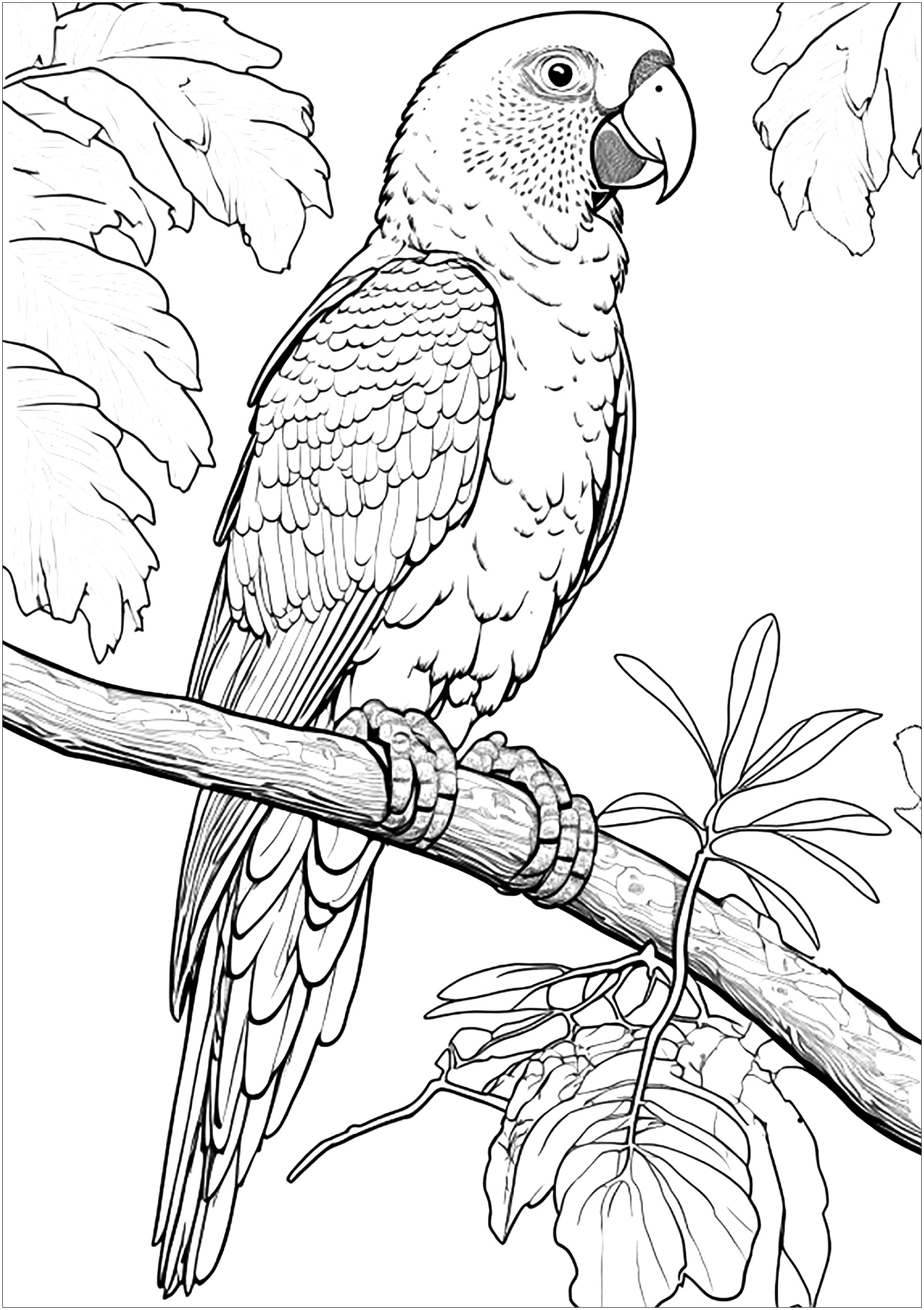 10 Animal Coloring Pages Realistic 6