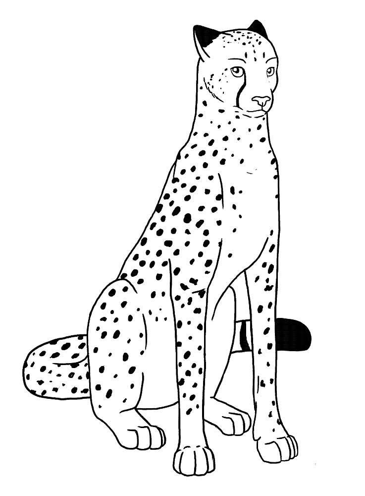 10 Cheetah Coloring Pages 3