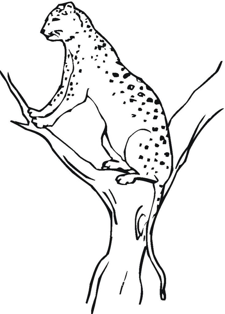 10 Cheetah Coloring Pages 4