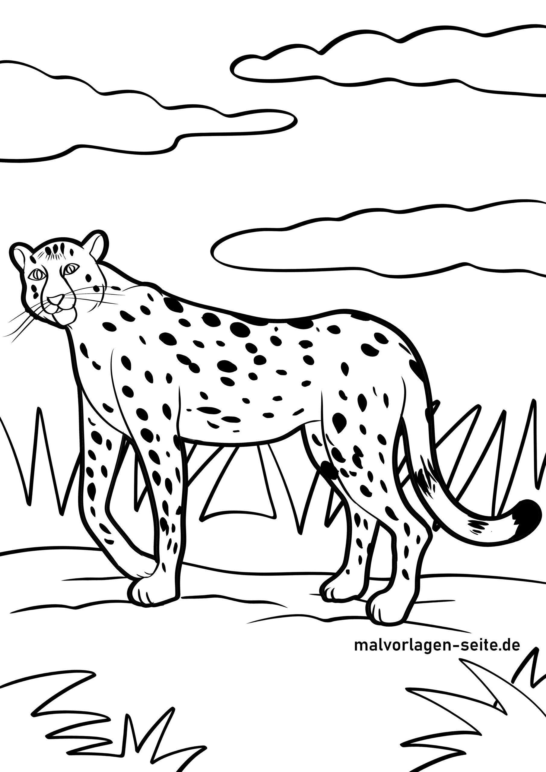 10 Cheetah Coloring Pages 5