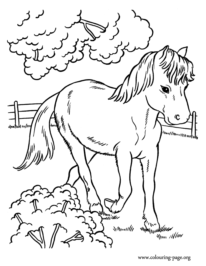 10 Farm Animal Coloring Pages Horse 3