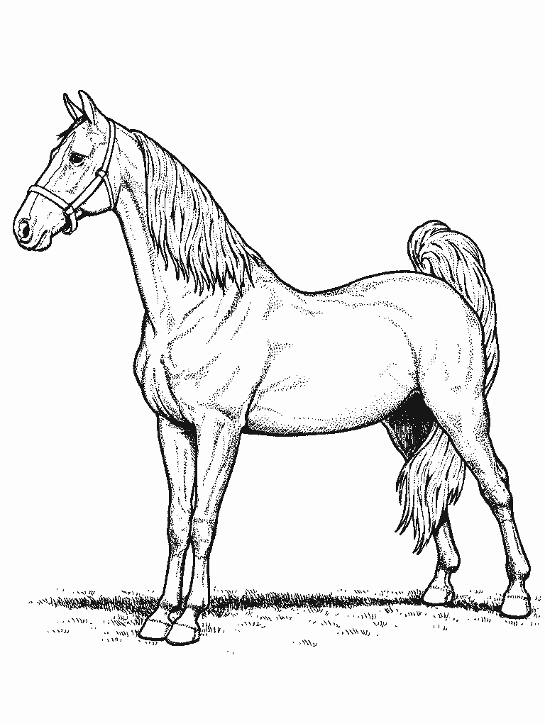 10 Farm Animal Coloring Pages Horse 7