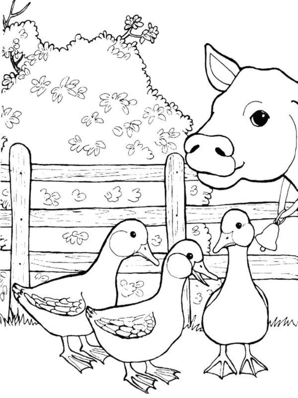 10 Land Animal Coloring Pages 2