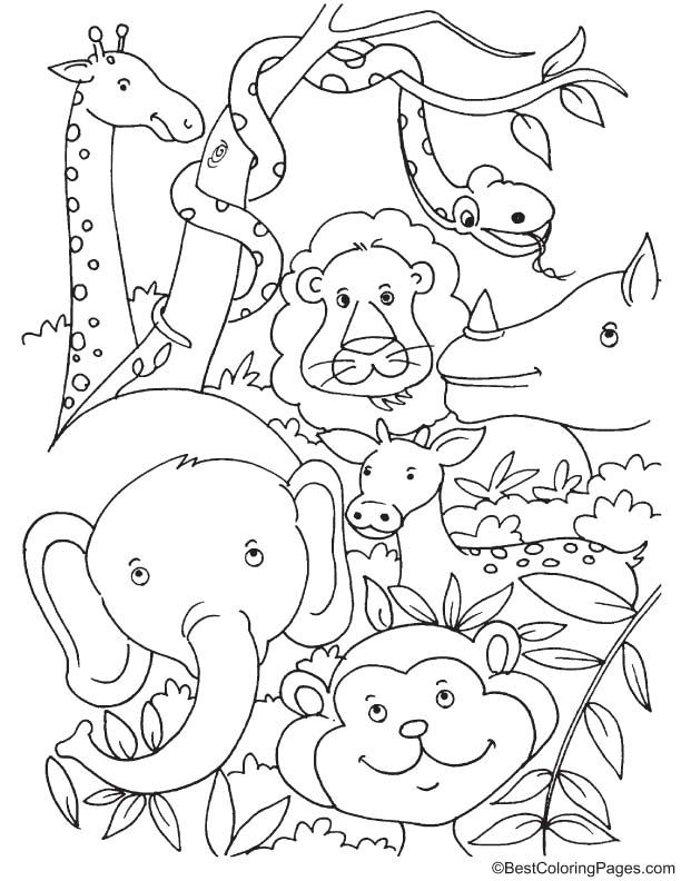 10 Rain Forest Animal Coloring Pages 1