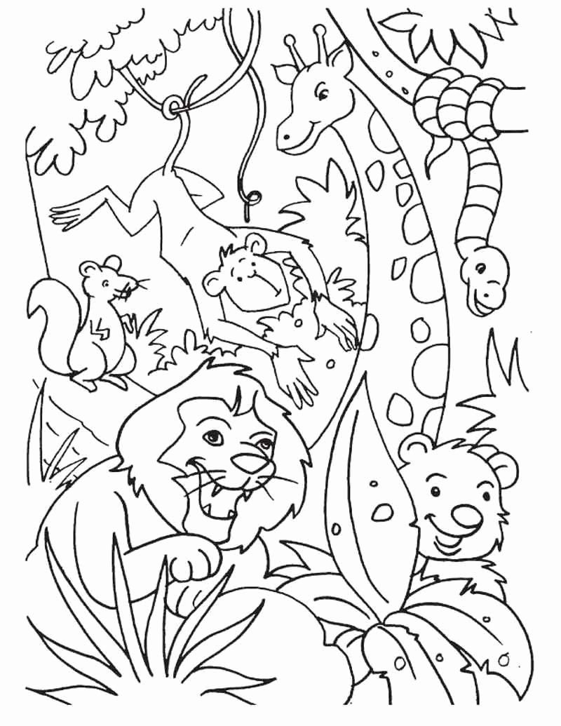 10 Rain Forest Animal Coloring Pages 10