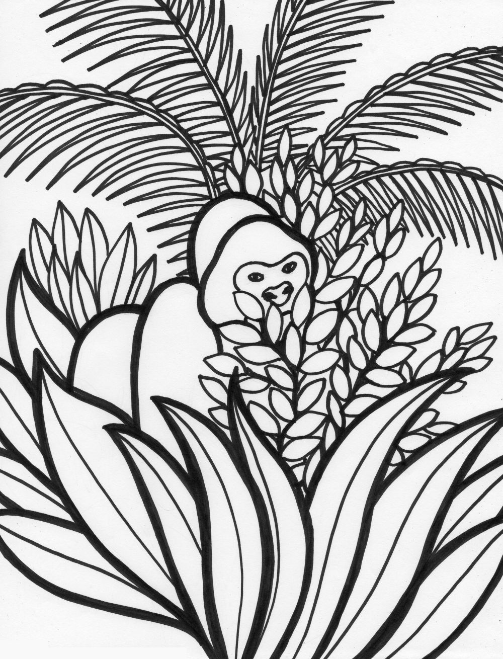 10 Rain Forest Animal Coloring Pages 3