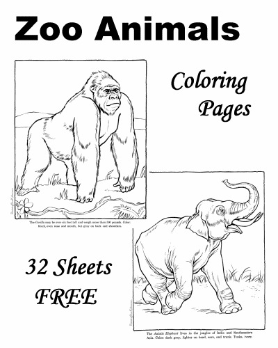 10 Zoo Animal Coloring Pages Free Printable Safari 10