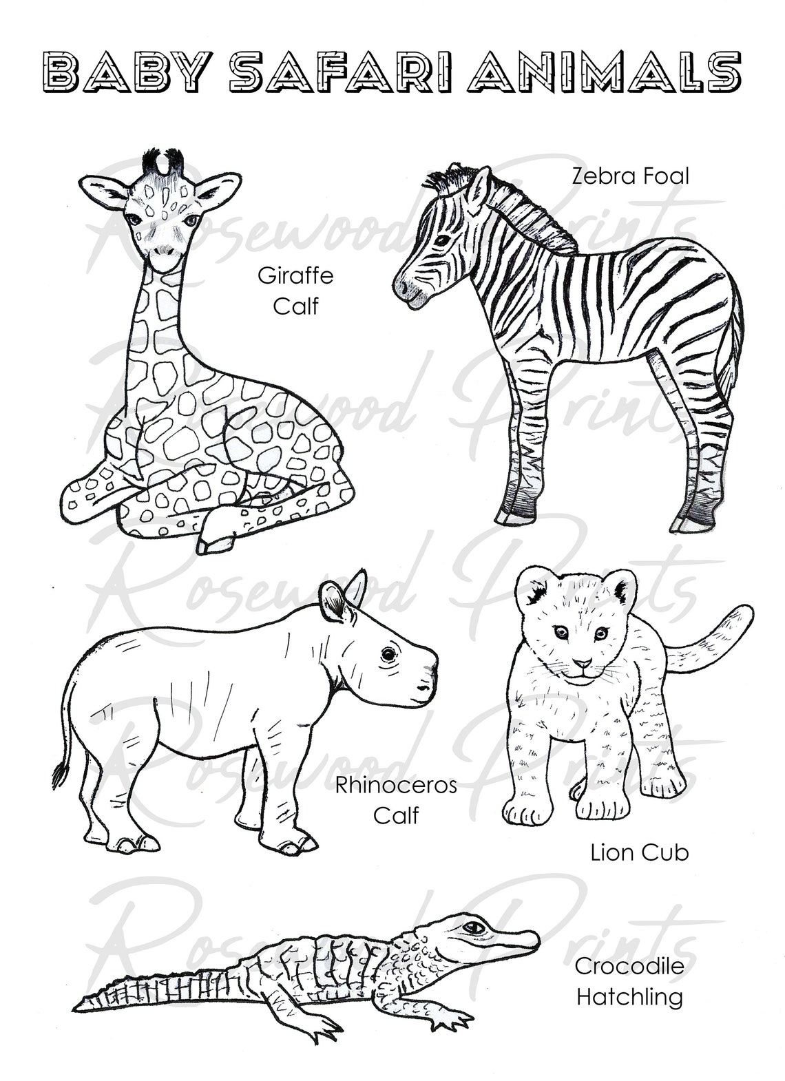 10 Zoo Animal Coloring Pages Free Printable Safari 2