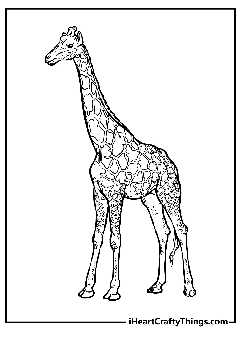 10 Zoo Animal Coloring Pages Free Printable Safari 3