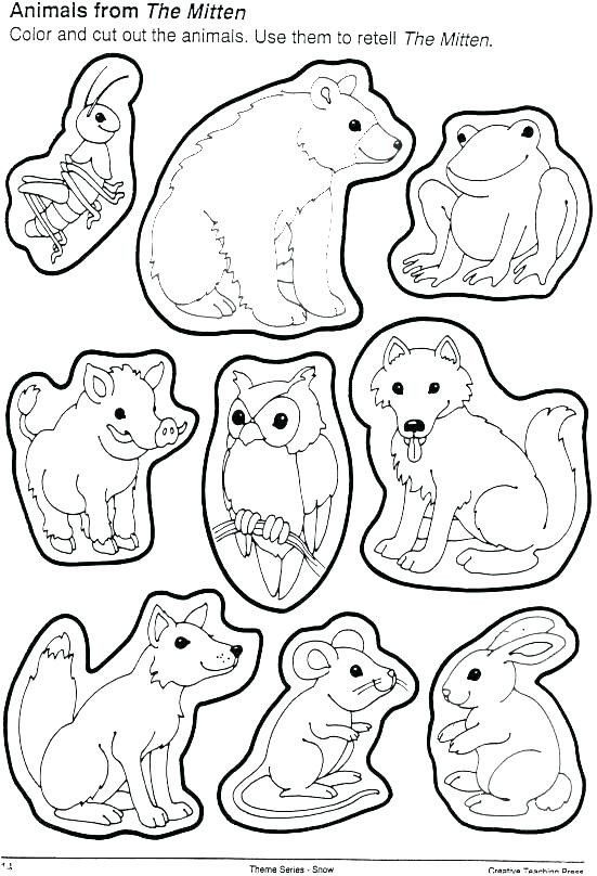 10 Endangered Animal Coloring Pages to Spark Conservation Awareness