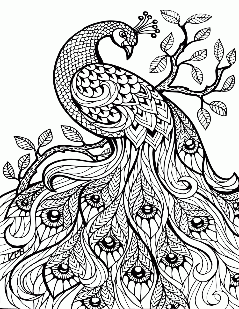 10 Animal Coloring Pages For Adults Easy