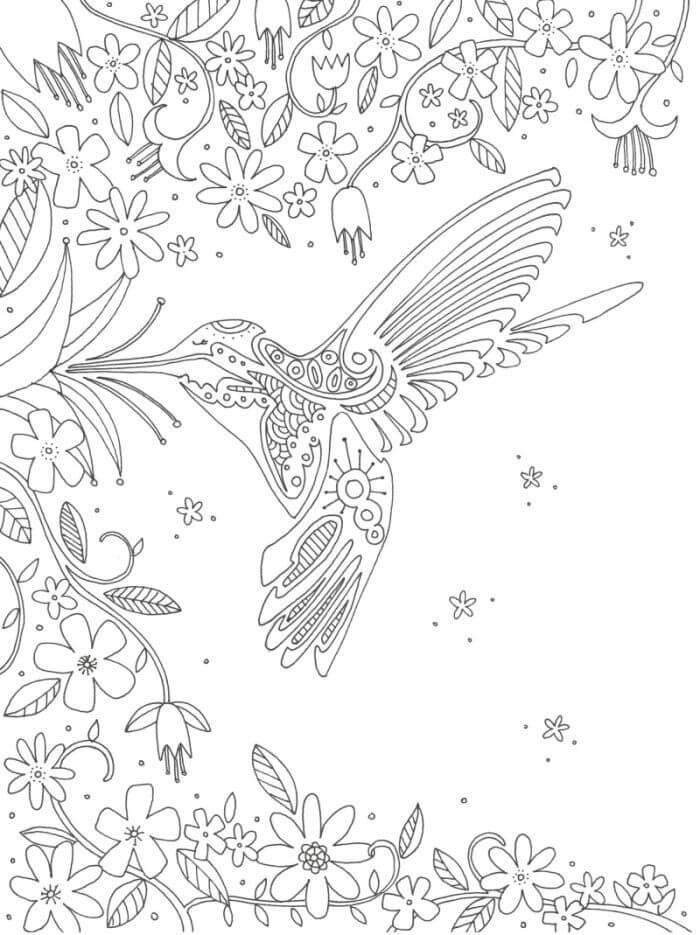 30+ Free Hummingbird Adult Coloring Pages Line Art