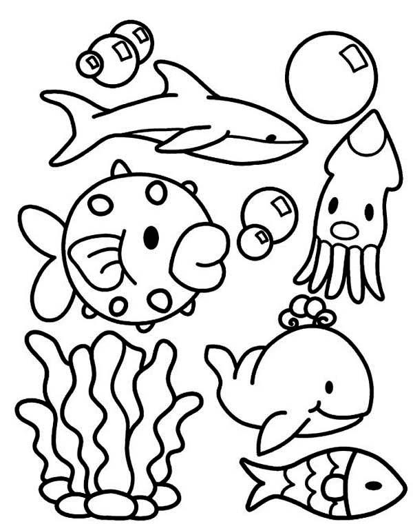 31+ Unique Cute Animal Coloring Pages For Kids Ocean Line Art