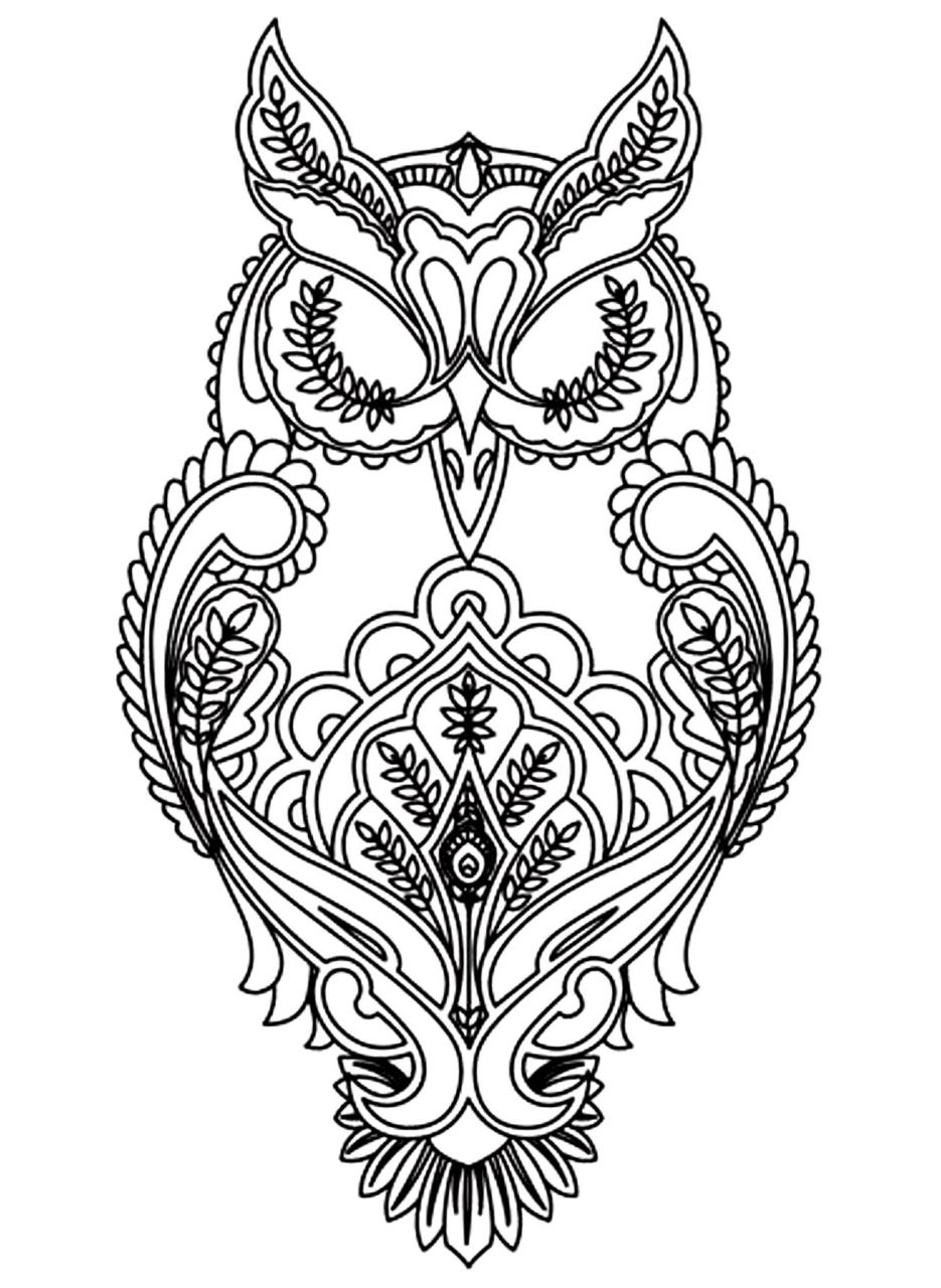 10 Unique Owl Coloring Pages to Download for Creative Relaxation