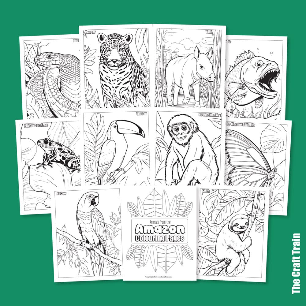 10 Amazon Animal Coloring Pages for Creative Kids and Adults