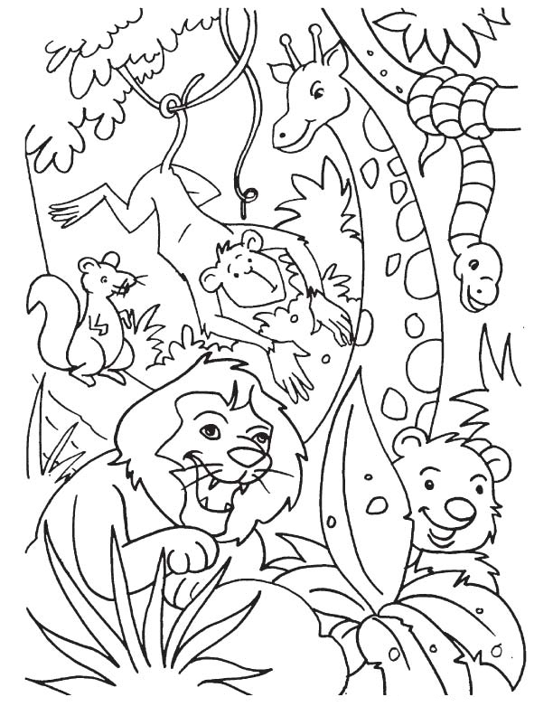 10 Jungle Animal Coloring Pages Printable for Unbridled Creativity