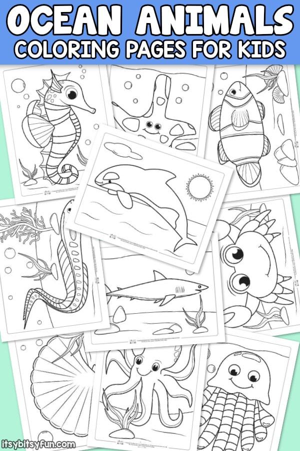 50+ Best of Cute Animal Coloring Pages For Kids Ocean for Kids