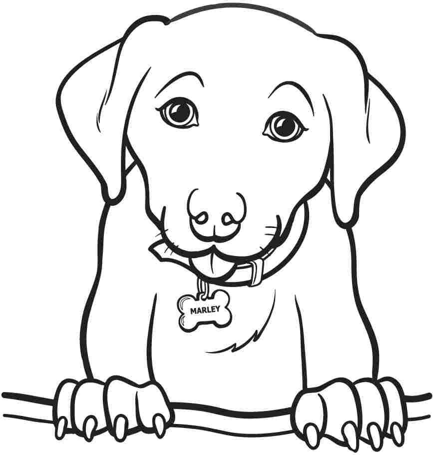 10 Animal Coloring Pages for Toddlers That Are Easy to Color