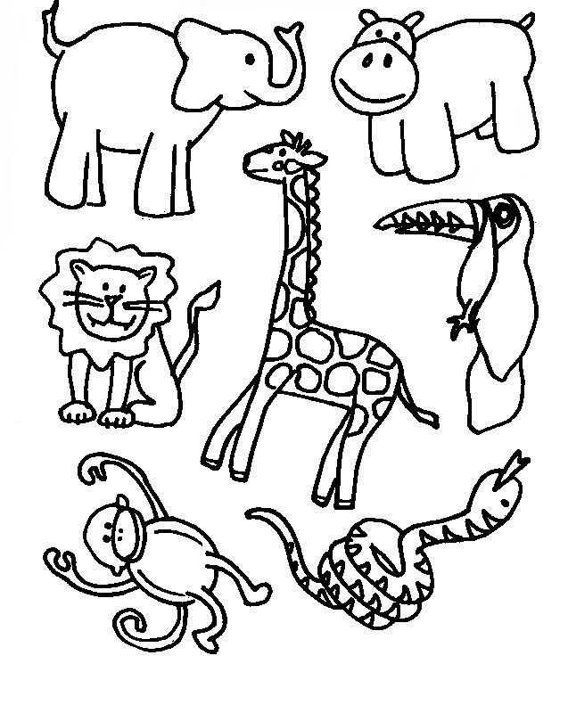 10 Jungle Animal Coloring Pages to Unleash Your Inner Artist