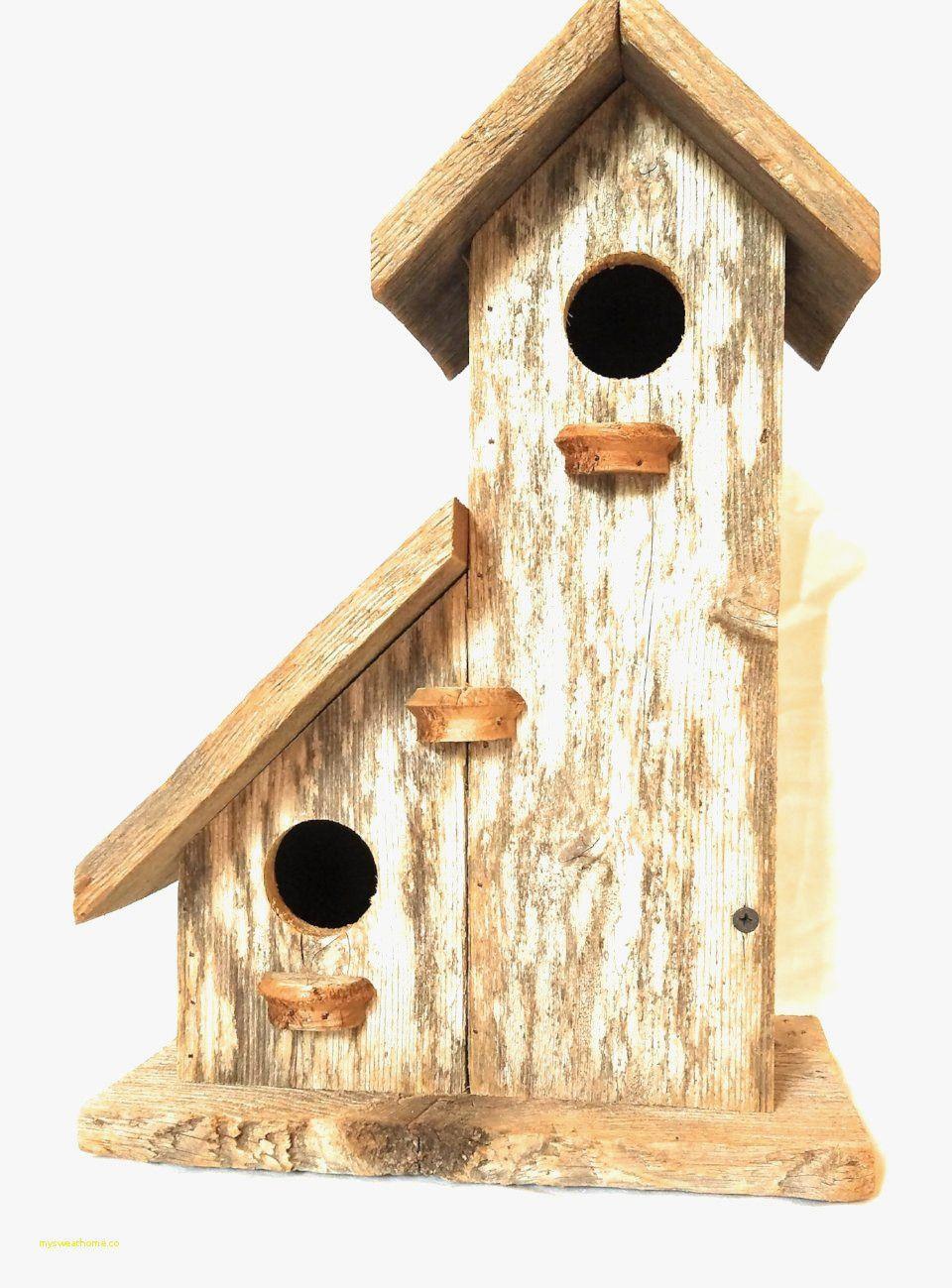 37+ Download Birdhouse Printable for Kids