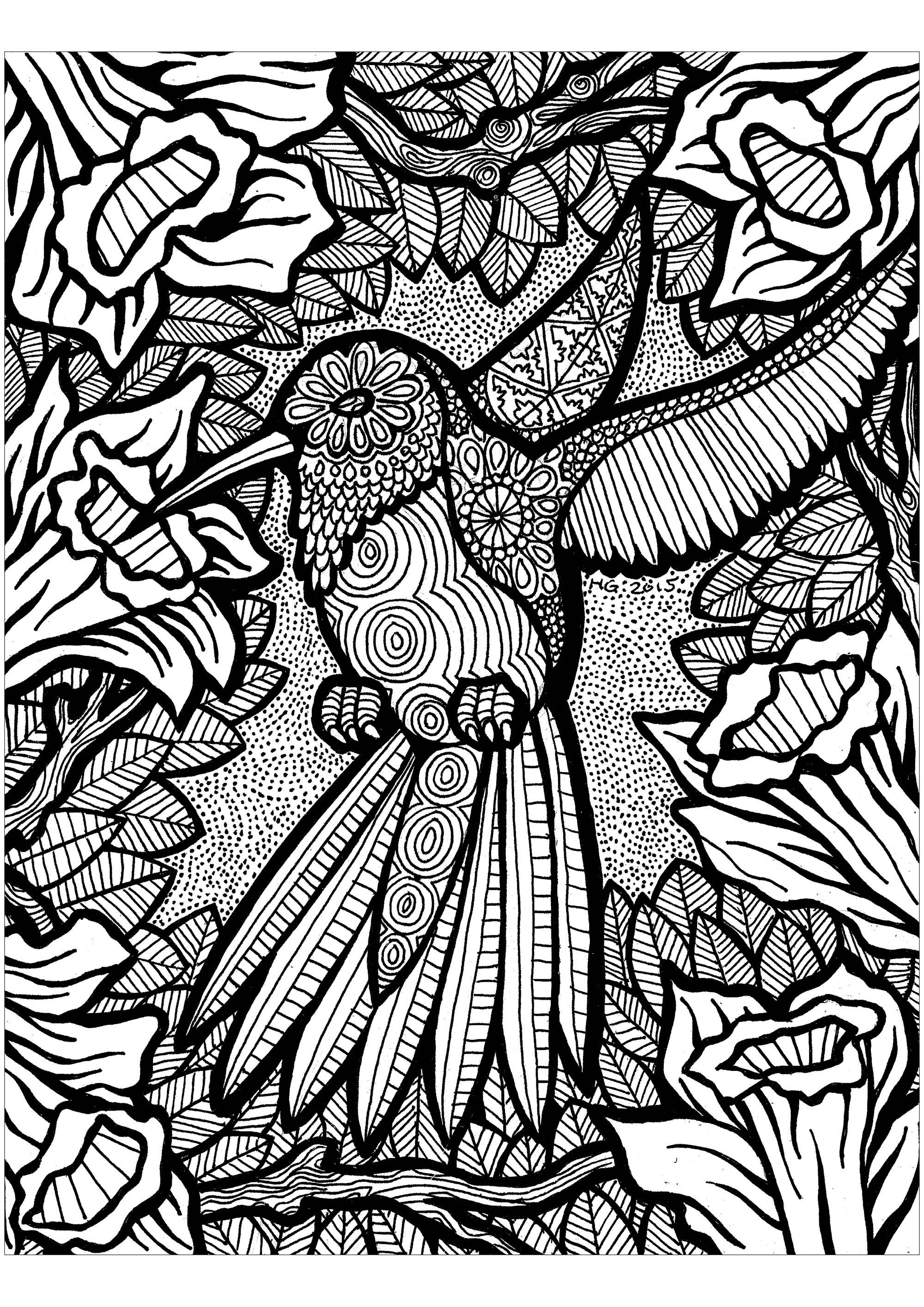 46+ Printable Hummingbird Adult Coloring Pages Free Printable