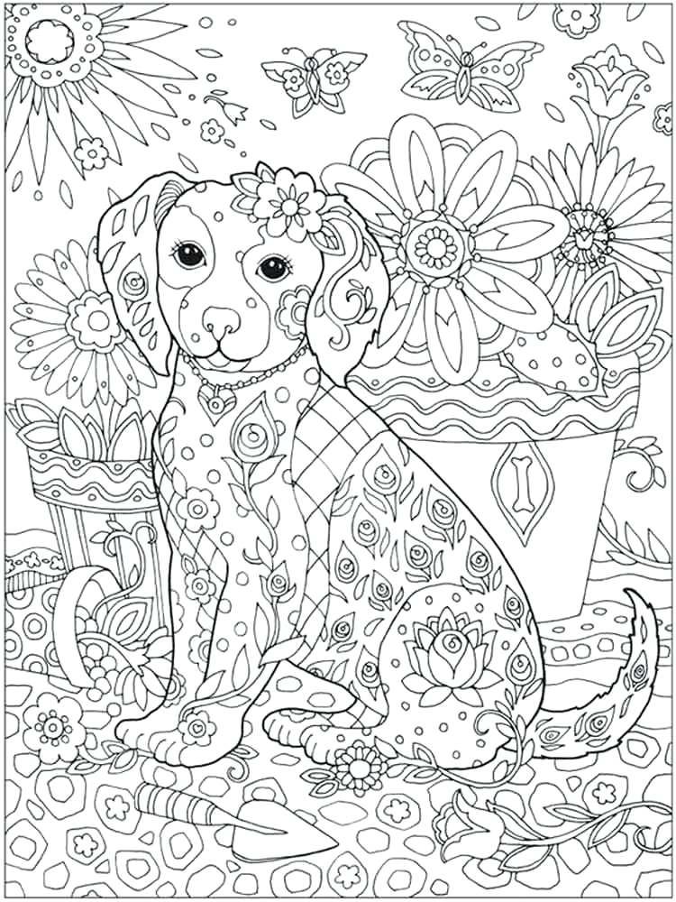 10 Detailed Animal Coloring Pages for Creative Minds