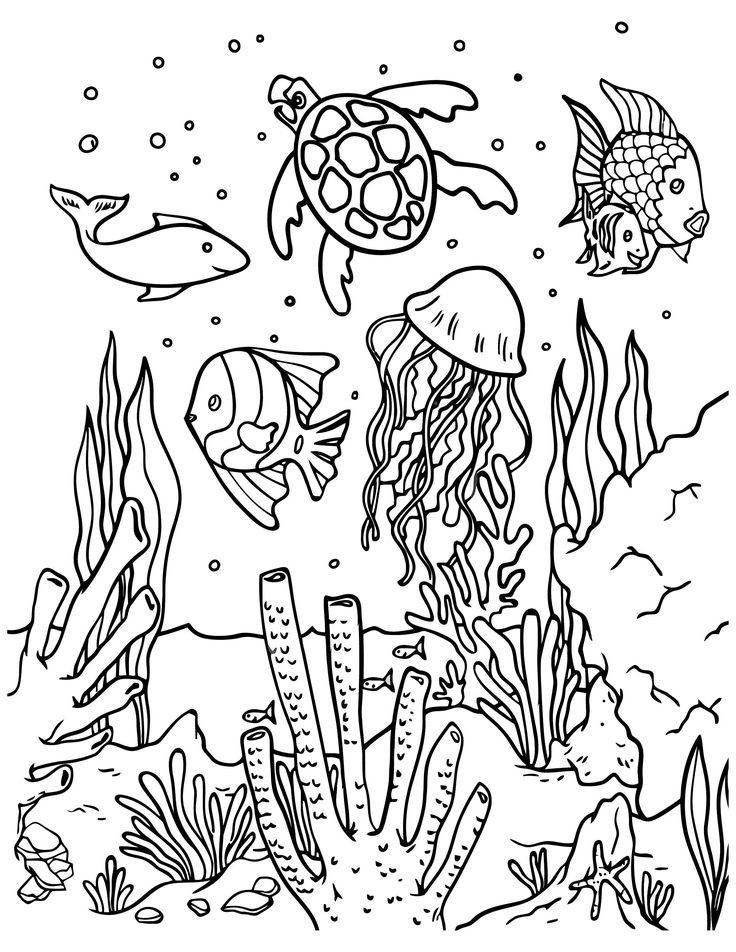 45+ Best of Cute Animal Coloring Pages For Kids Ocean Line Art