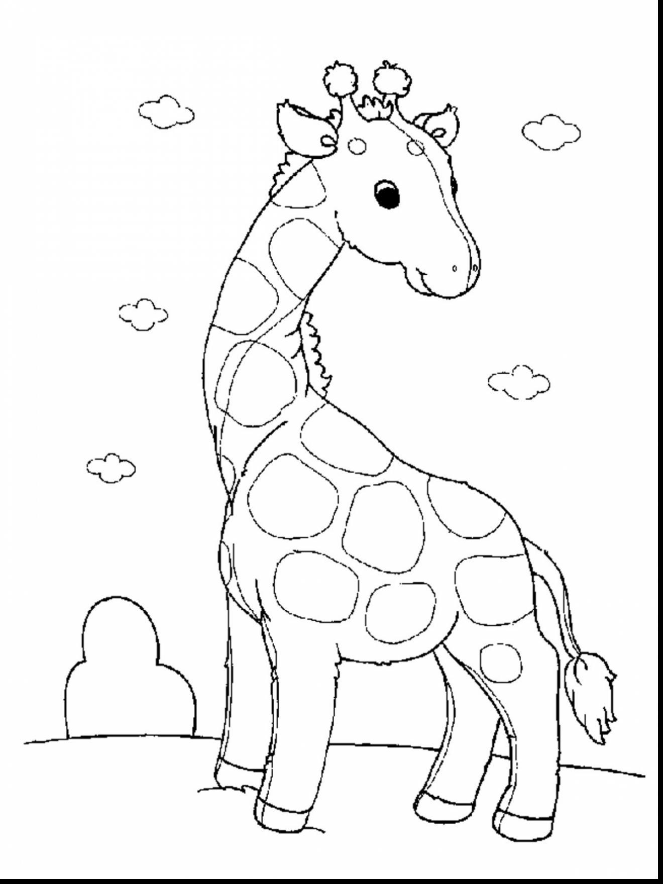 34+ Free Free Wild Animal Coloring Pages Free Printable