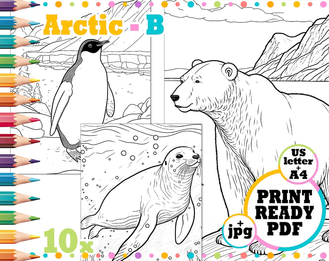 10 Arctic Animal Coloring Pages for Wildlife Enthusiasts