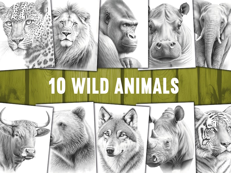 10 Wild Animal Coloring Books for Unleashing Your Inner Artist