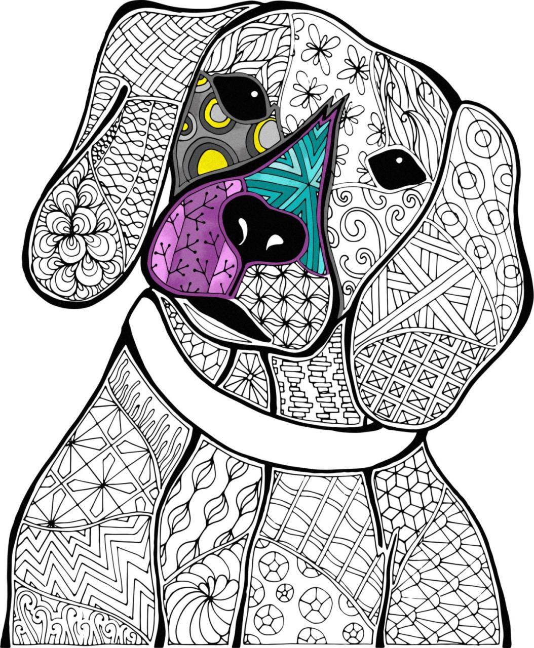 10 Finished Animal Coloring Pages For Adults