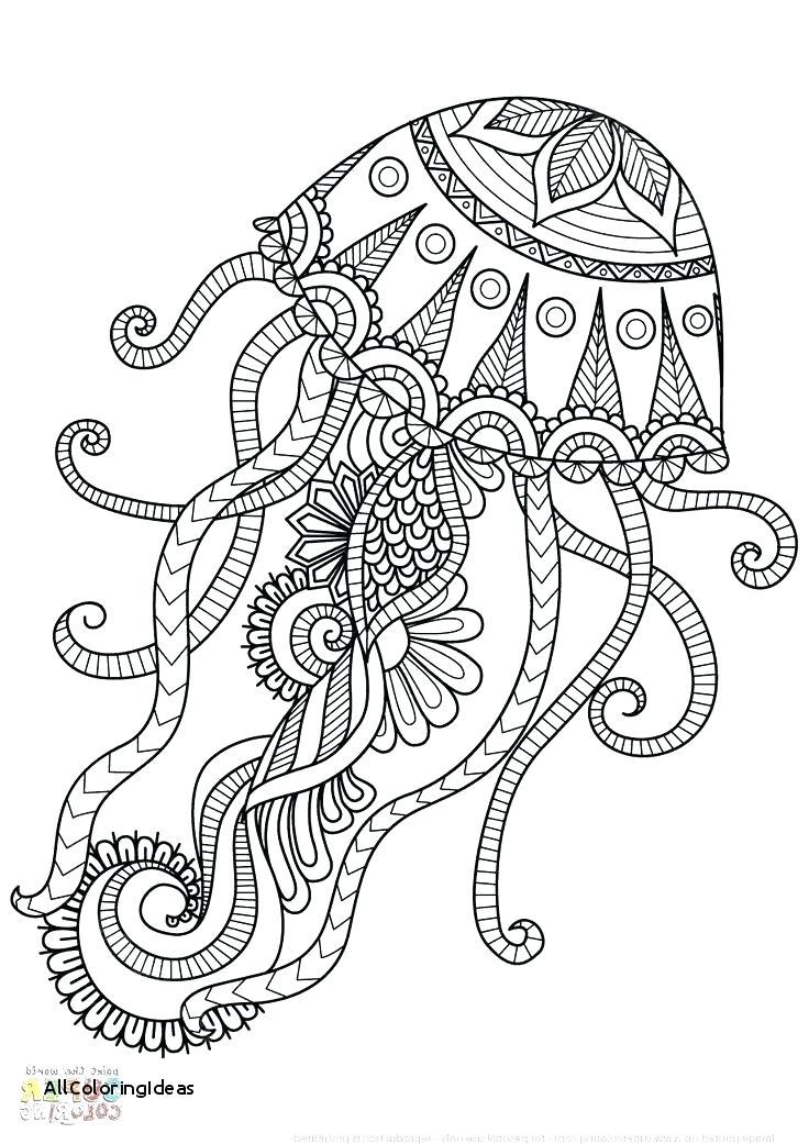 32+ Download Animal Coloring Pages Jellyfish for Adult