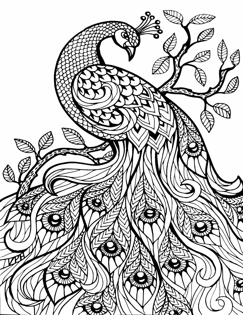 10 Pattern Animal Coloring Pages to Unleash Your Creativity