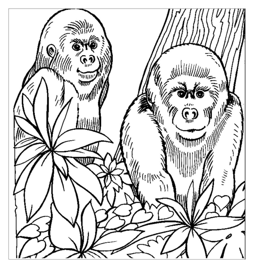 10 Realistic Jungle Animal Coloring Pages for Unleashing Your Inner Artist