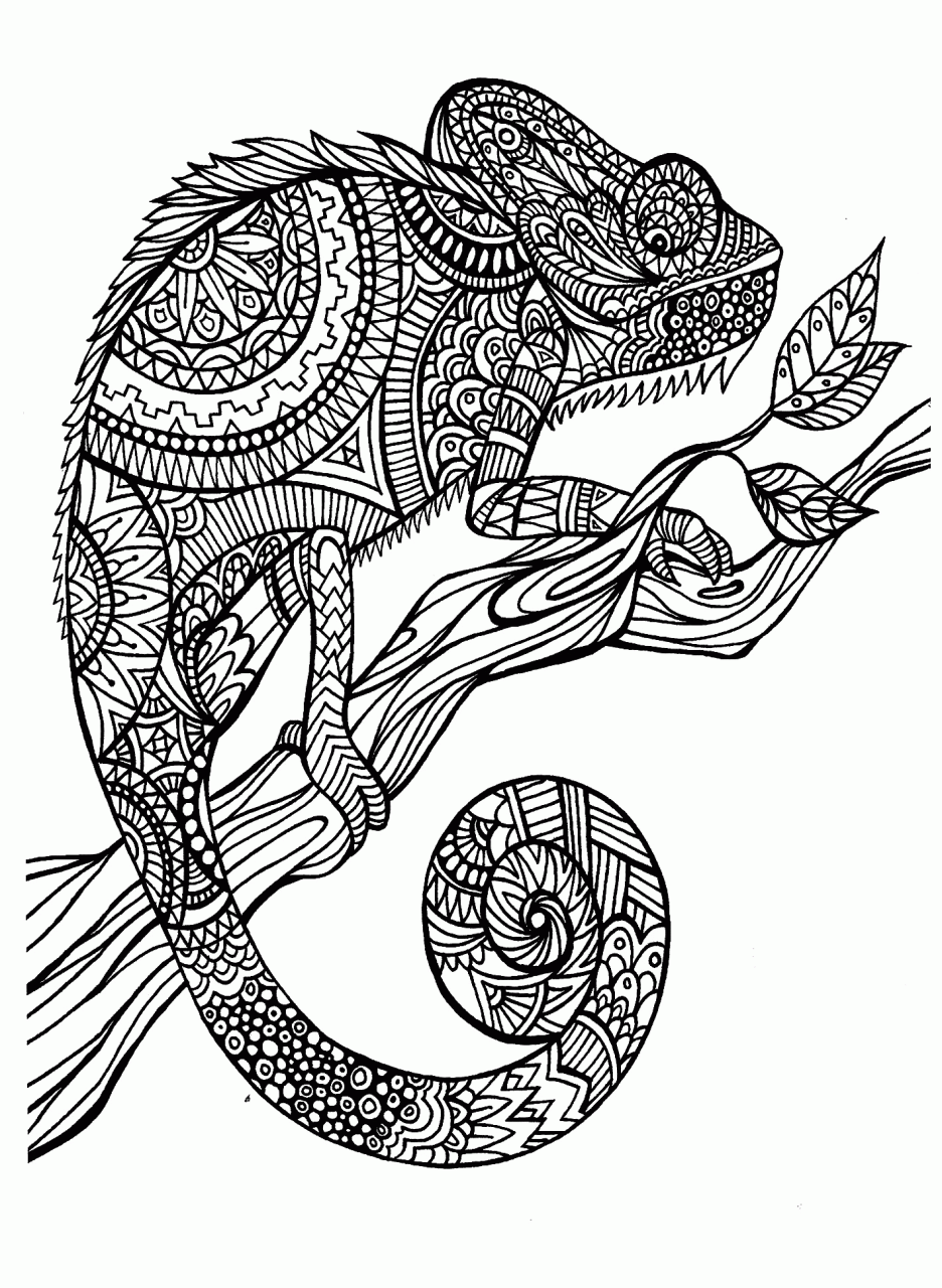 10 Advanced Animal Coloring Pages For Adults