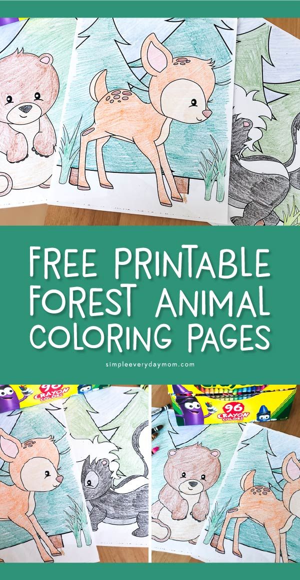 10 Animal Coloring Pages For Kids Free Printable 8