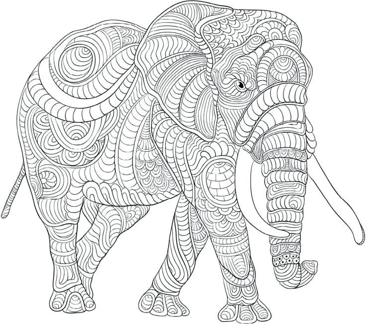 10 Animal Coloring Pages for 10-Year-Olds to Unleash Their Creativity