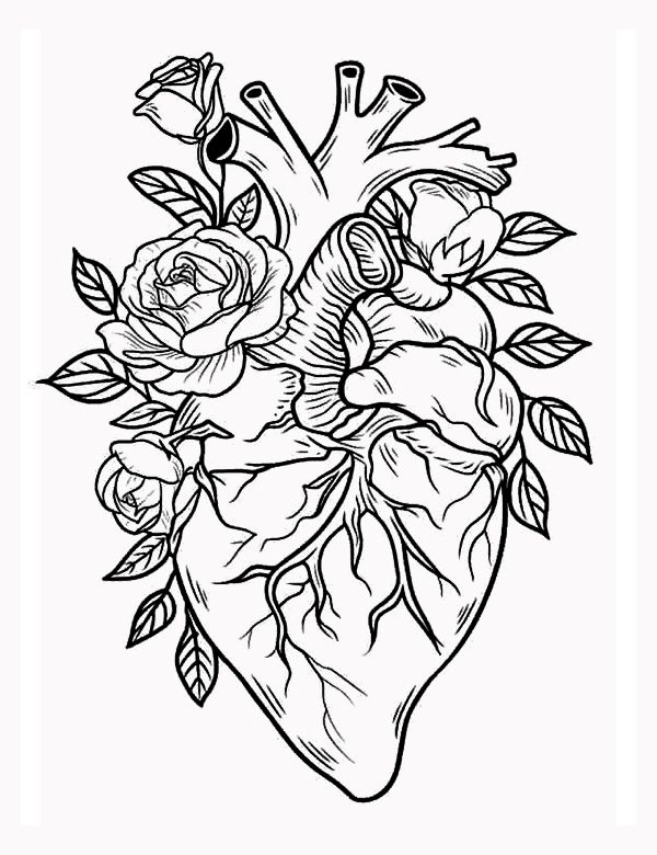 53 Adult Coloring Pages Free Printable Simple 38