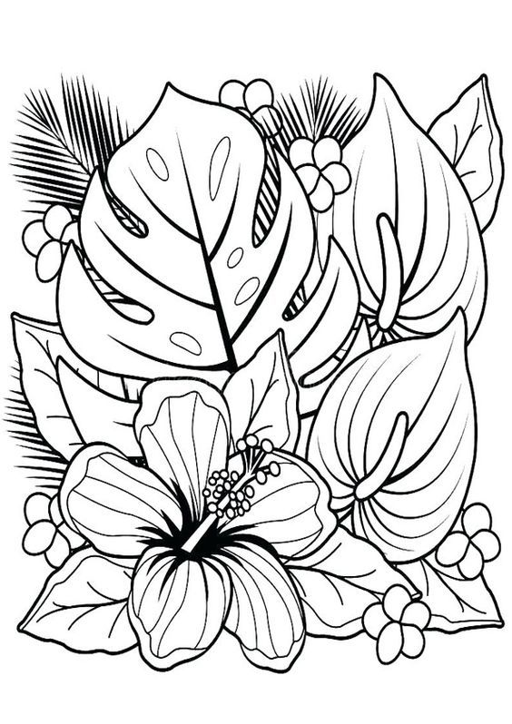 53 Adult Coloring Pages Free Printable Simple 40