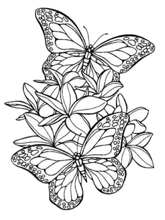 53 Adult Coloring Pages Free Printable Simple 48