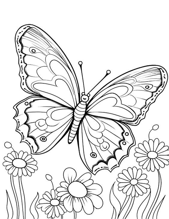 53 Adult Coloring Pages Free Printable Simple 50