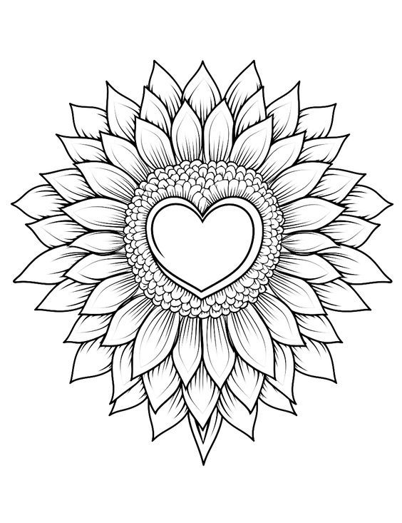 53 Adult Coloring Pages Free Printable Simple 52