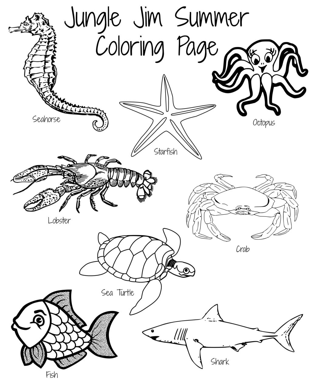 10 Preschool Ocean Animal Coloring Pages for Fun Learning