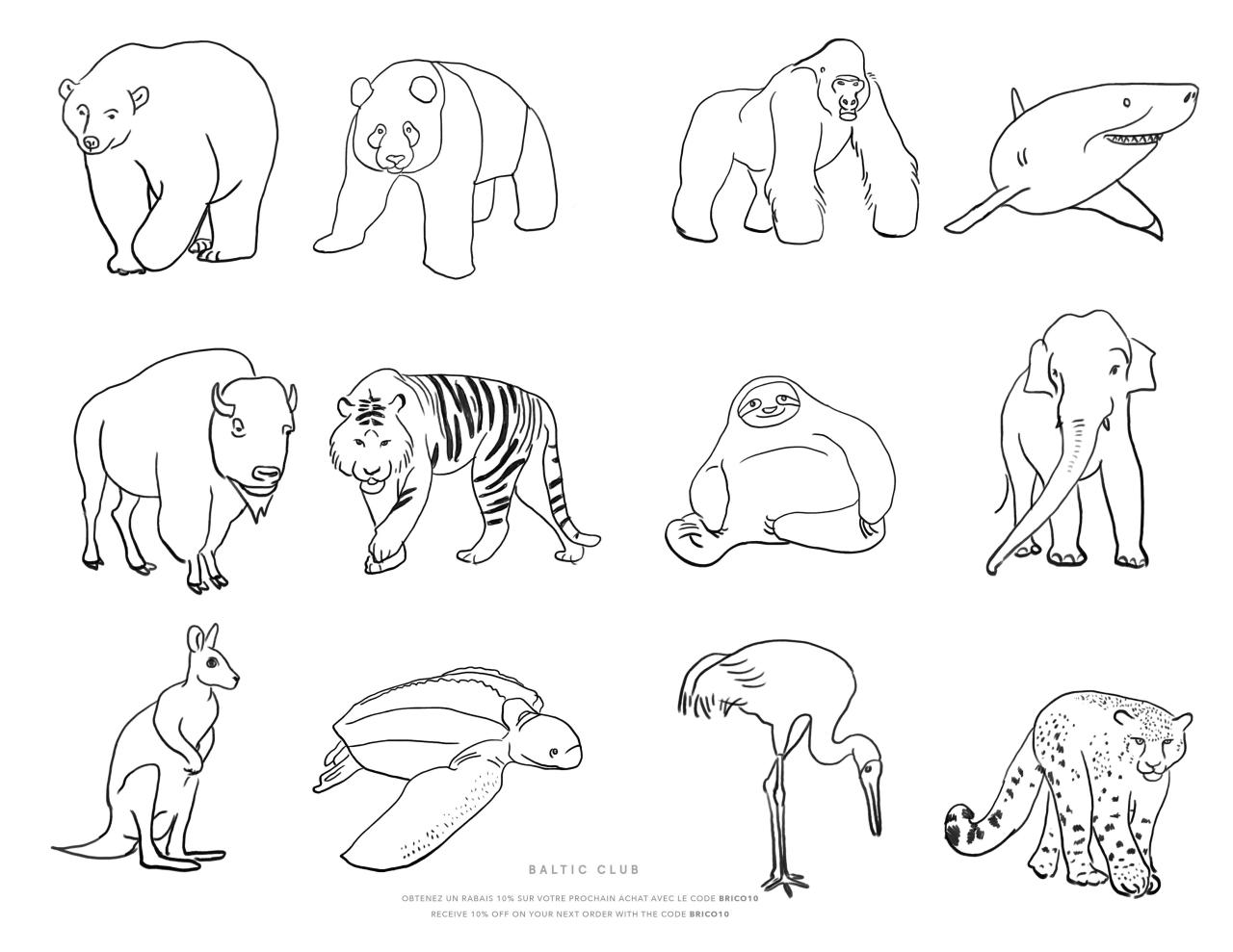 10 Endangered Animal Coloring Pages for Nature Awareness